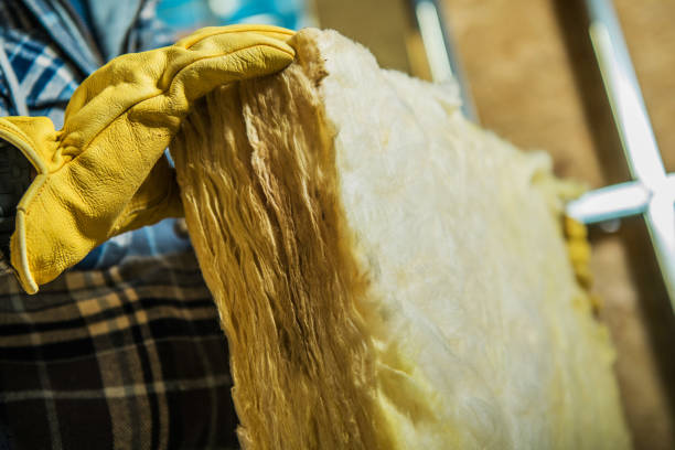Best Local Insulation Services  in Beloit, OH