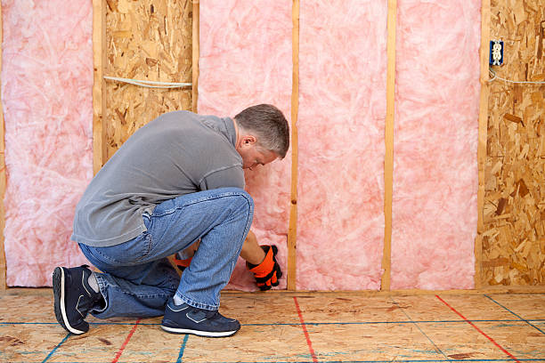 Best Wall Insulation Contractor  in Beloit, OH
